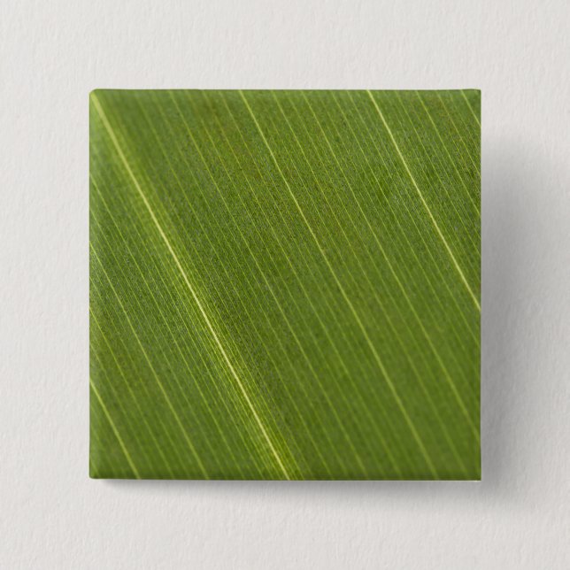 Palm Tree Leaf 2 Inch Square Button (Front)