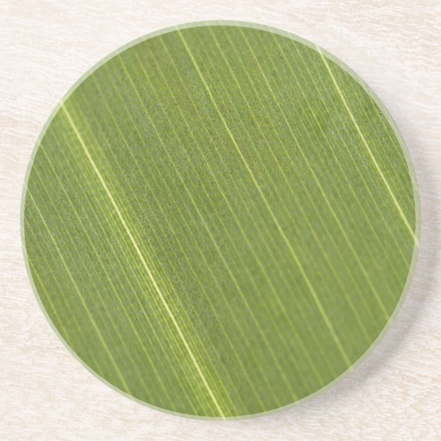 Palm Tree Leaf Coaster (Front)