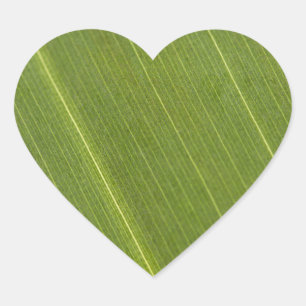 Palm Tree Leaf Heart Sticker