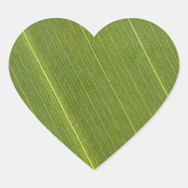 Palm Tree Leaf Heart Sticker (Front)