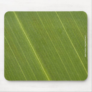 Palm Tree Leaf Mouse Pad