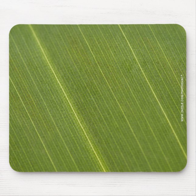Palm Tree Leaf Mouse Pad (Front)