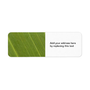 Palm Tree Leaf Return Address Labels
