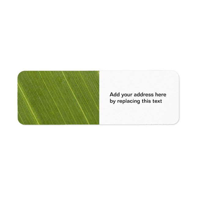 Palm Tree Leaf Return Address Labels (Front)