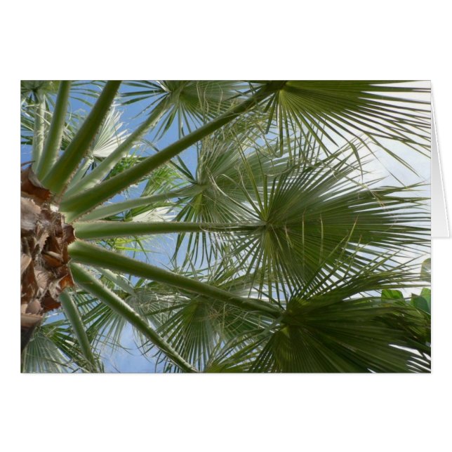 Palm Tree Leaves (Front Horizontal)