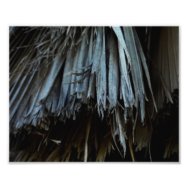 Palm Tree Leaves Photo Print (Front)
