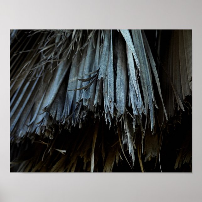 Palm Tree Leaves Poster (Front)