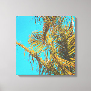 Palm Tree Leaves Turquoise Sky Canvas Print