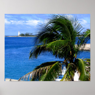 Palm Tree & Lighthouse Poster