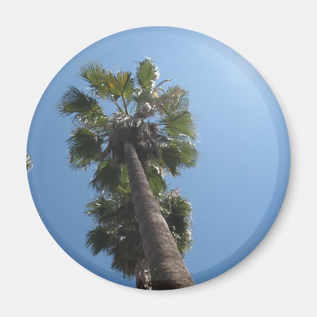 Palm Tree Magnet (Front)