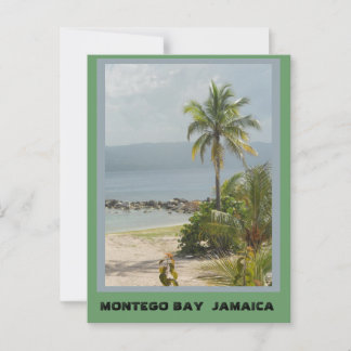 Palm Tree, Montego Bay Jamaica Postcard