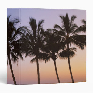 Palm tree, morning binder