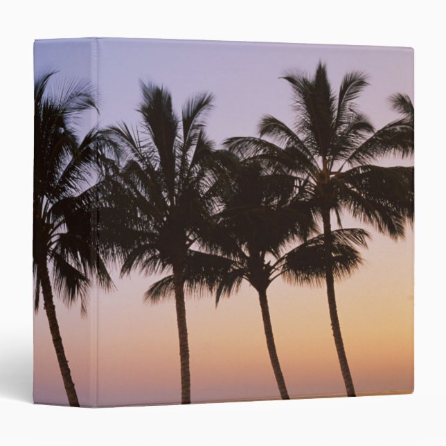 Palm tree, morning binder (Front/Spine)
