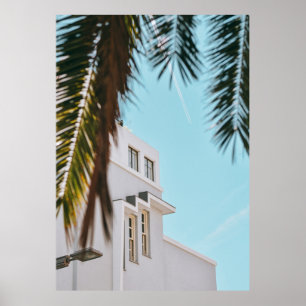 Palm tree near white concrete building poster