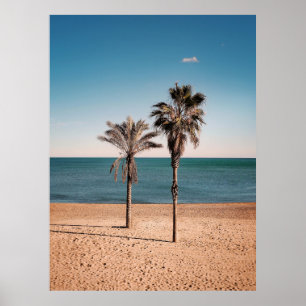 Palm tree on beach shore in the morning poster