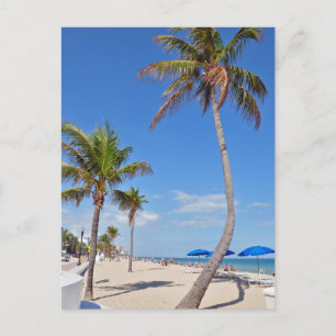 Palm Tree on the Beach Postcard