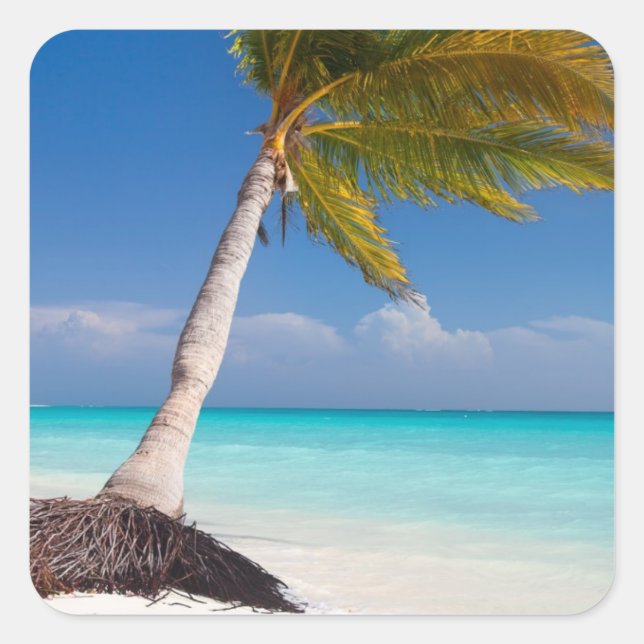 Palm tree on the beautiful white sand beach square sticker (Front)