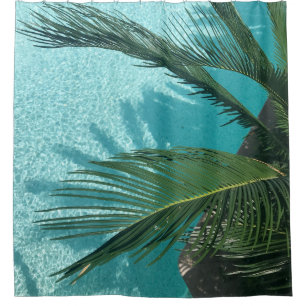 palm tree over the water