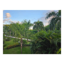 Palm tree photo enlargement