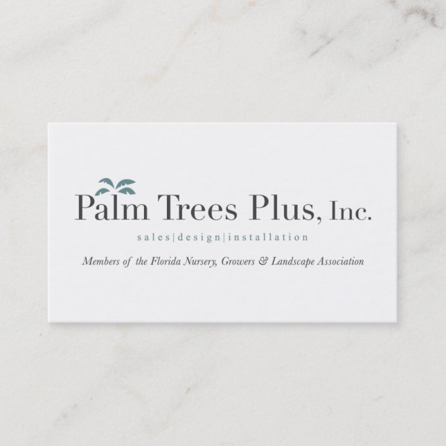 Palm Tree Plus Business Cards (Front)
