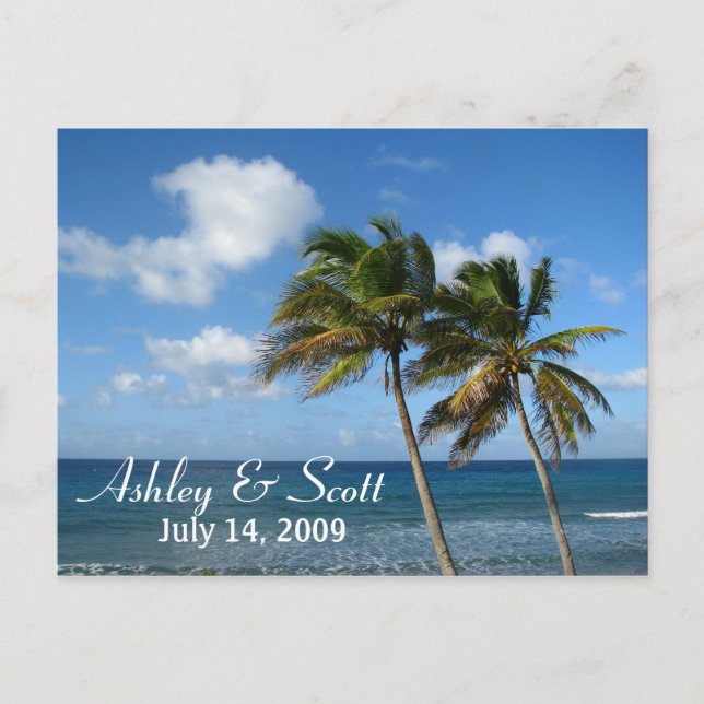 Palm Tree Postcard (Front)