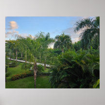 Palm tree poster