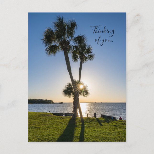 Palm Tree Scissor Silhouette Thinking You Postcard (Front)