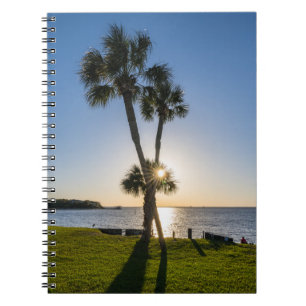 Palm Tree Scissors Silhouette Notebook