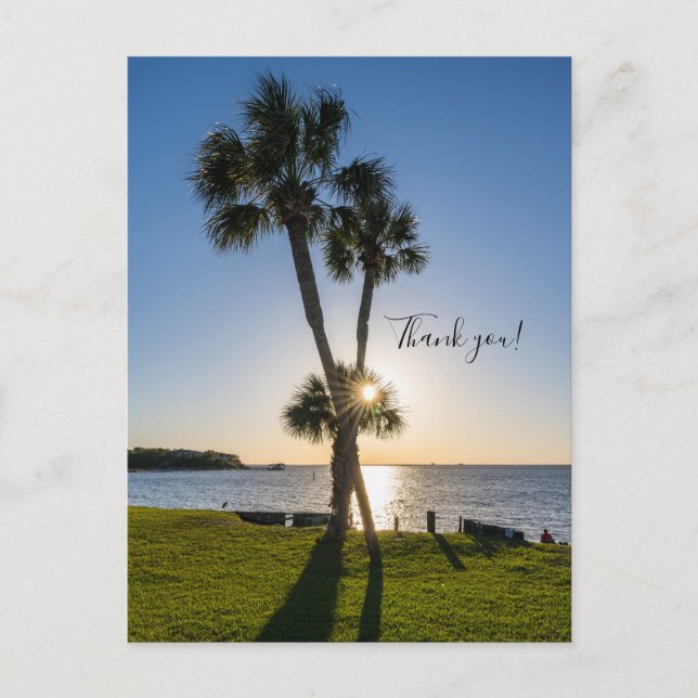 Palm Tree Scissors Silhouette Thank You Postcard (Front)