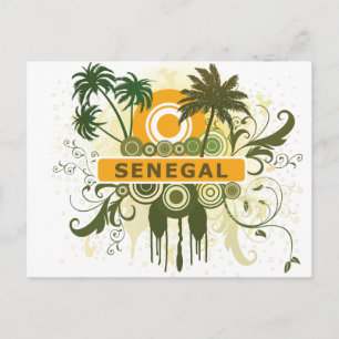 Palm Tree Senegal Postcard