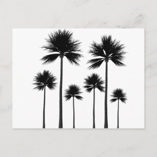 Palm Tree Silhouette Postcard