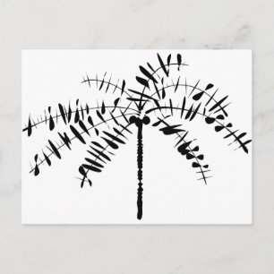 Palm Tree Sketch Postcard