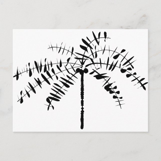 Palm Tree Sketch Postcard (Front)