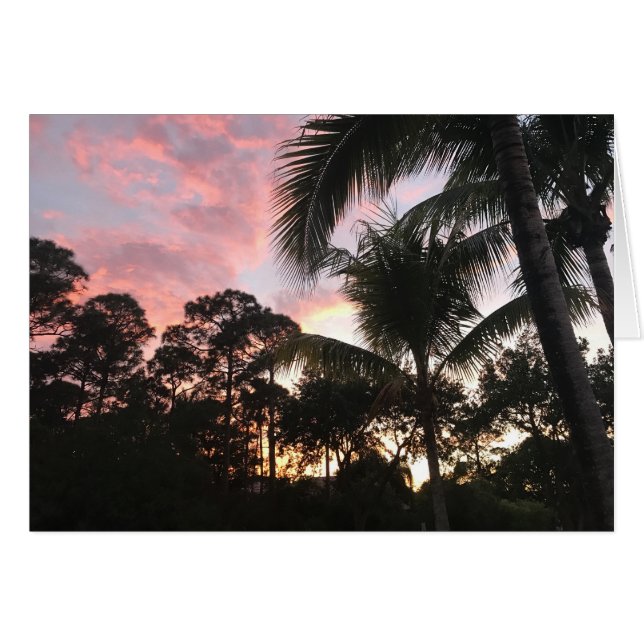 Palm Tree Sunset (Front Horizontal)