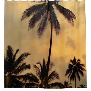 Palm Tree Sunset Ocean Photo 11