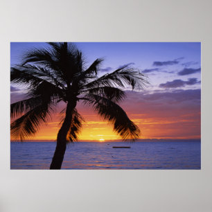 Palm Tree Sunset Poster