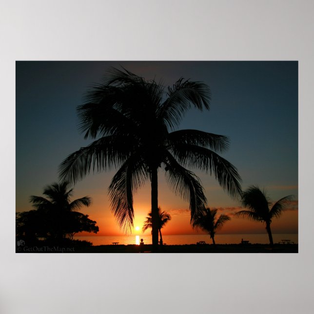 Palm Tree Sunset Poster (Front)