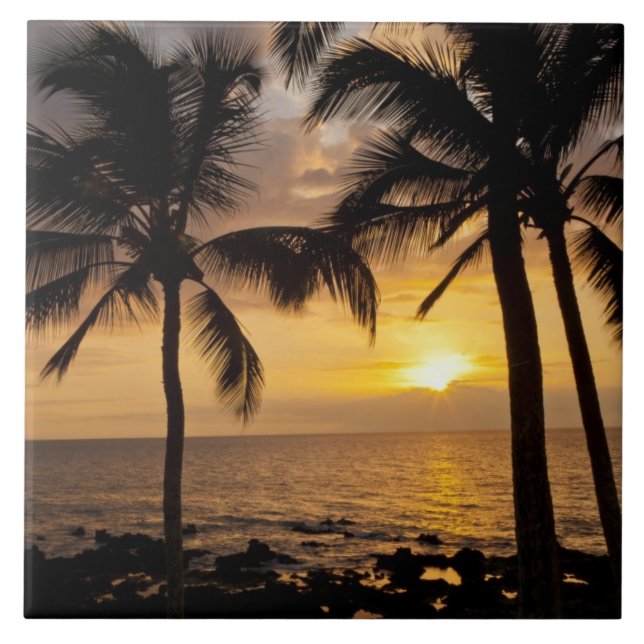 Palm tree sunset tile (Front)