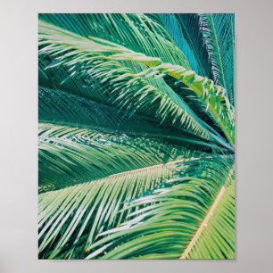 Palm Tree Tropical Beach Photograph Print