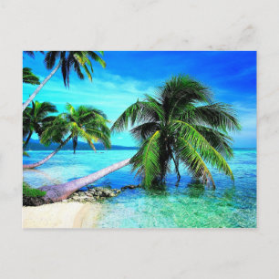 Palm Tree Tropical Island Beach Postcard