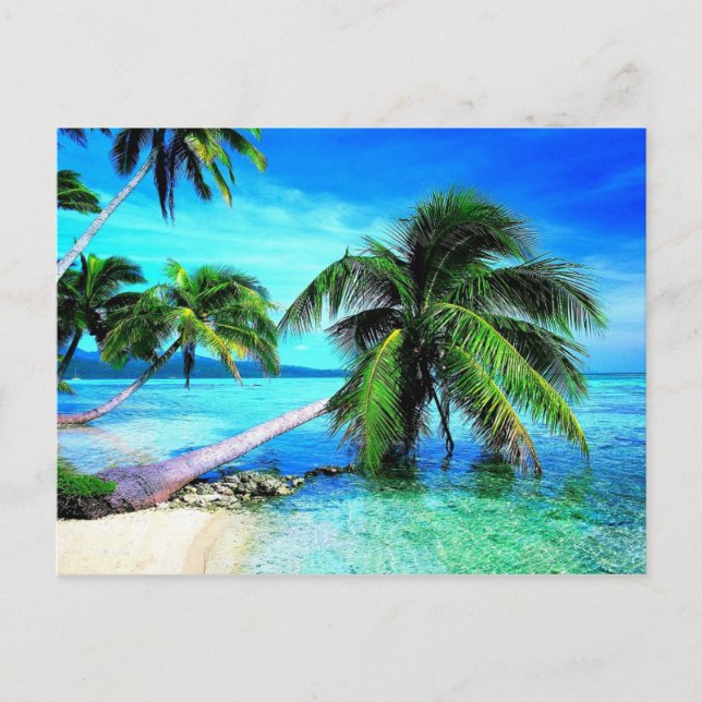 Palm Tree Tropical Island Beach Postcard (Front)