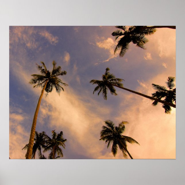Palm tree tropical summer photo poster (Front)
