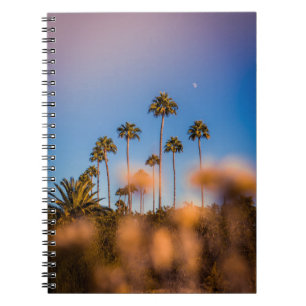 Palm tree under blue sky notebook