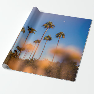 Palm tree under blue sky wrapping paper