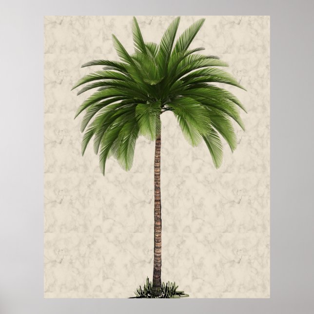 Palm Tree  Vintage Tropical Elegant Marble Poster (Front)