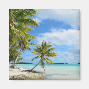 Palm tree white sand beach magnet