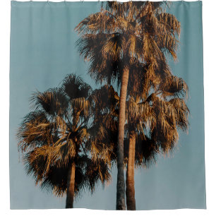 Palm trees