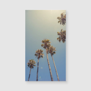 Palm Trees