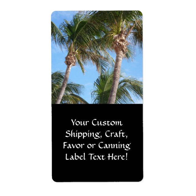 Palm Trees Against Blue Sky (Front)