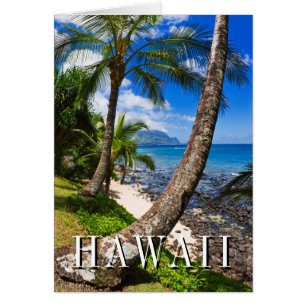 Palm Trees Along Hideaways Beach